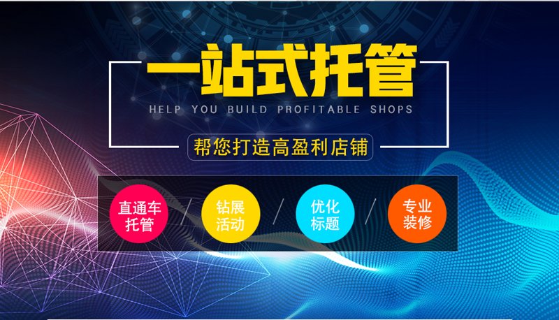 站群程序：新时代电商运营的新趋势